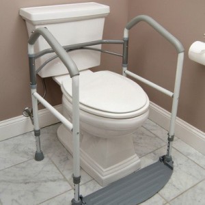 toilet seat for seniors